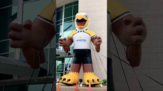 HCC Mascot Swoop the Eagle