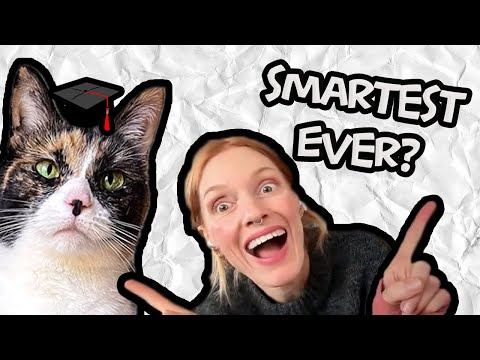 Is This The Smartest Cat Ever?