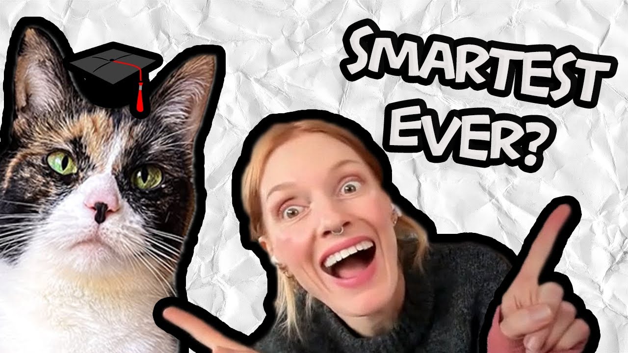 Is This the Smartest Cat Ever?