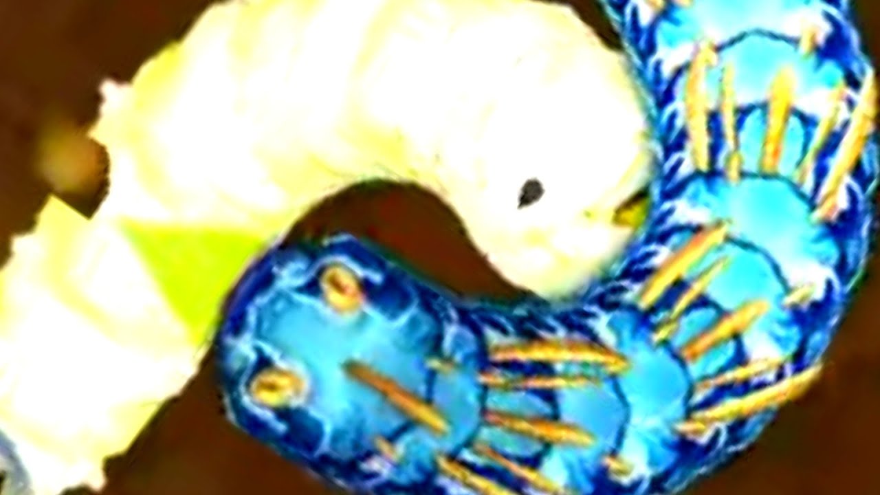 New Skins Little Big Snake.io best Gameplay 001 - Top 1 Slither.io
