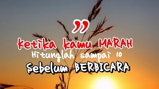Kata-Kata Bijak Mengendalikan Amarah || Sang Pengelana