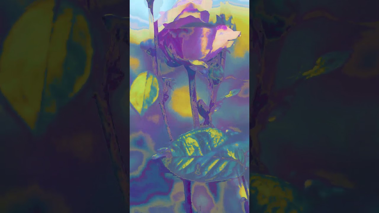 JBarr - Vicious Cycle Visualizer