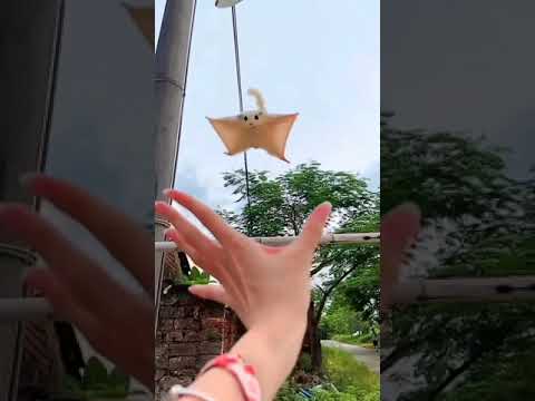 Flying Squirrel ||