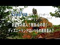 お盆休み突入！祝日山の日、ディズニーランドは週末並み？