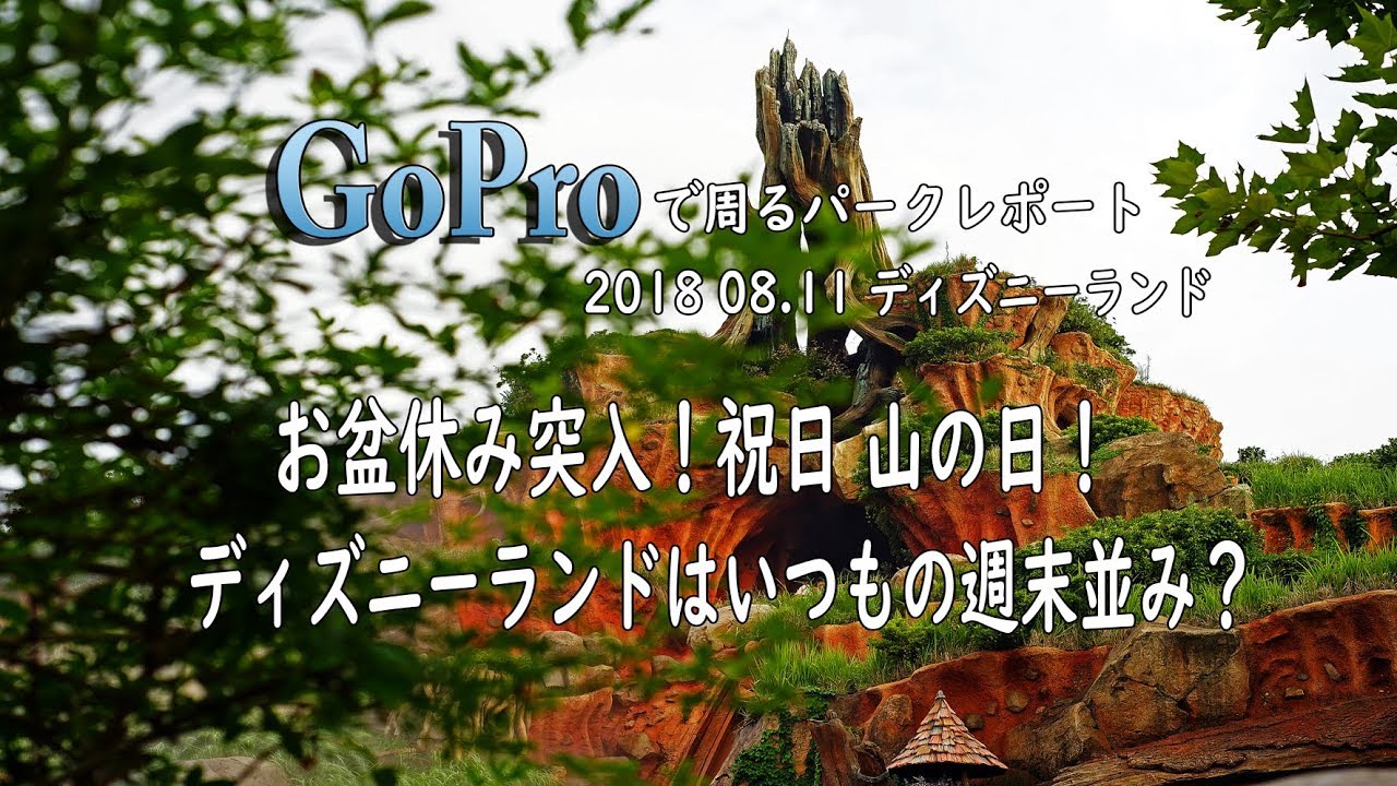 お盆休み突入！祝日山の日、ディズニーランドは週末並み？
