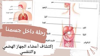 شرح المفهوم الأول علوم الصف الرابع الجزء الثالث