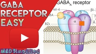 GABA Receptor( BZD) - Structure and Mechanism of Action