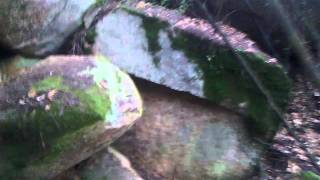 Covas en Eirexa de Puga (Toén) HD