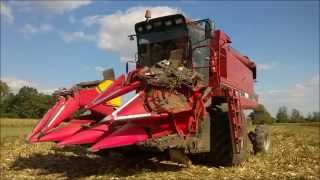 Moisson maïs 2015  case ih 1660