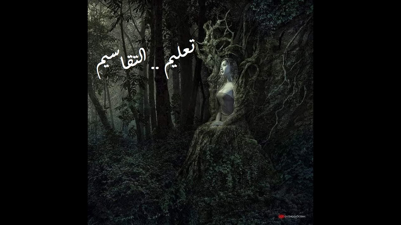 تعليم التقاسيم (كيفية بناء تيمة لحنية) الحلقة الأولى /اعداد/محمد كريم حسين