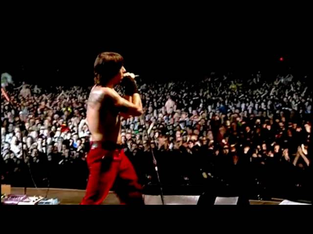 Red Hot Chili Peppers - throw away your television