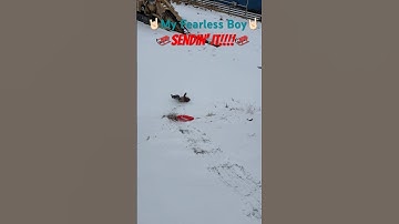 😆🛷💨4-Year Old Boy Sending It Down A HUGE Steep Hill On Sled And Crashes-Flies Into The Air!👀