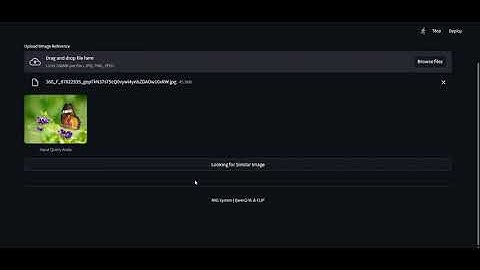 Multimodal Image Retrieval-Augmented Generation (RAG) System using CLIP & Qwen2-VL