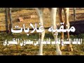 قصيده مهداه من شاعر وفارس عبس فوزي بن مربح القلادي الى الشيخ غلاب بن غايب بن سعدون المظيبري