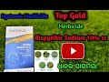 Top Gold Paddy Herbicide ( ଧାନର ଘାସମରା ) Bispyribic Sodium 10% sc