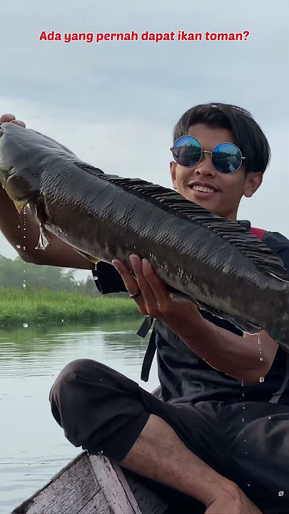 LIFT 10 FISHING RODS IN THE AIR HITAM RIVER IN KALIMANTAN AND GET THIS 😅 #153 #bocahpecicilan