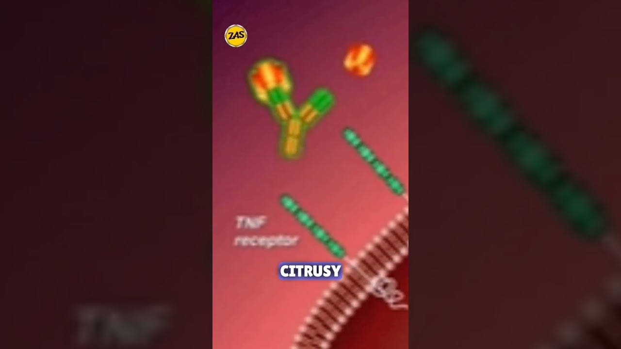 Terpenes in Cannabis: Aromatic Compounds With Potential Therapeutic Benefits 