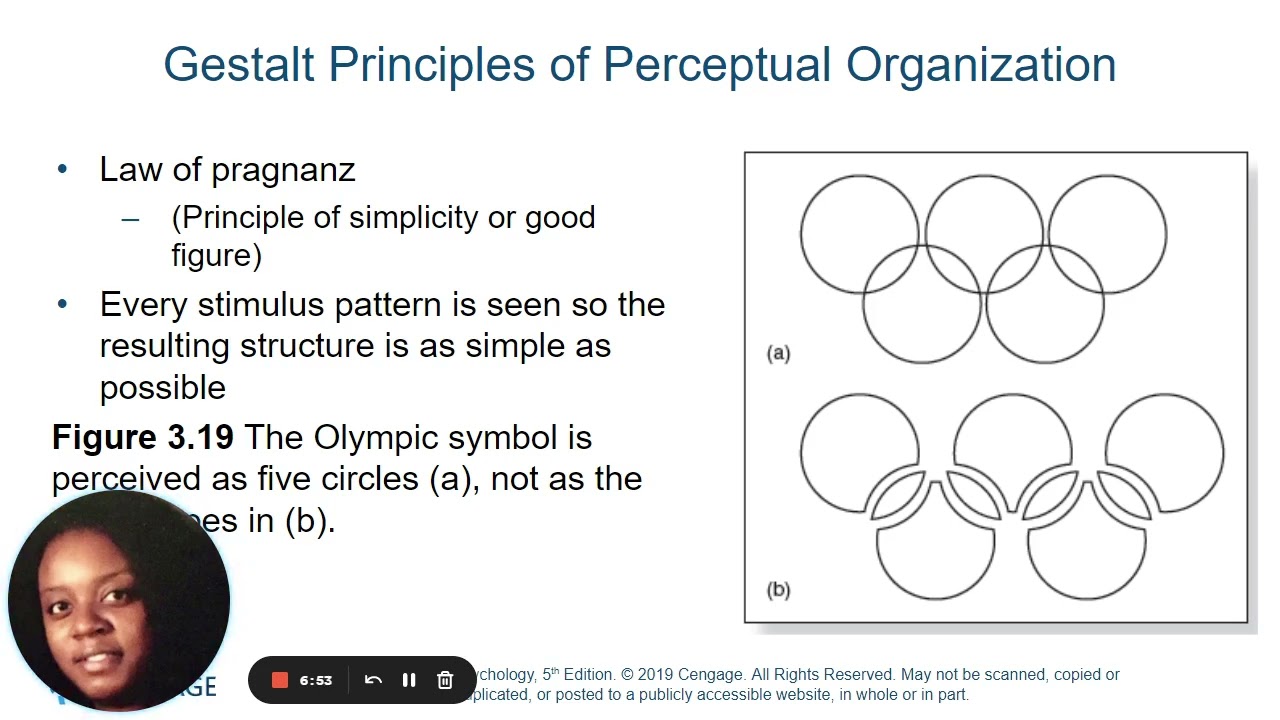 Chapter 3  Perception