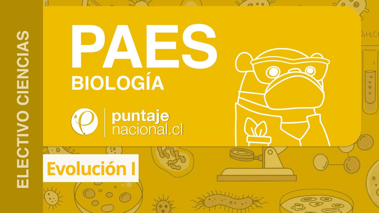 PAES | Biología | Evolución I