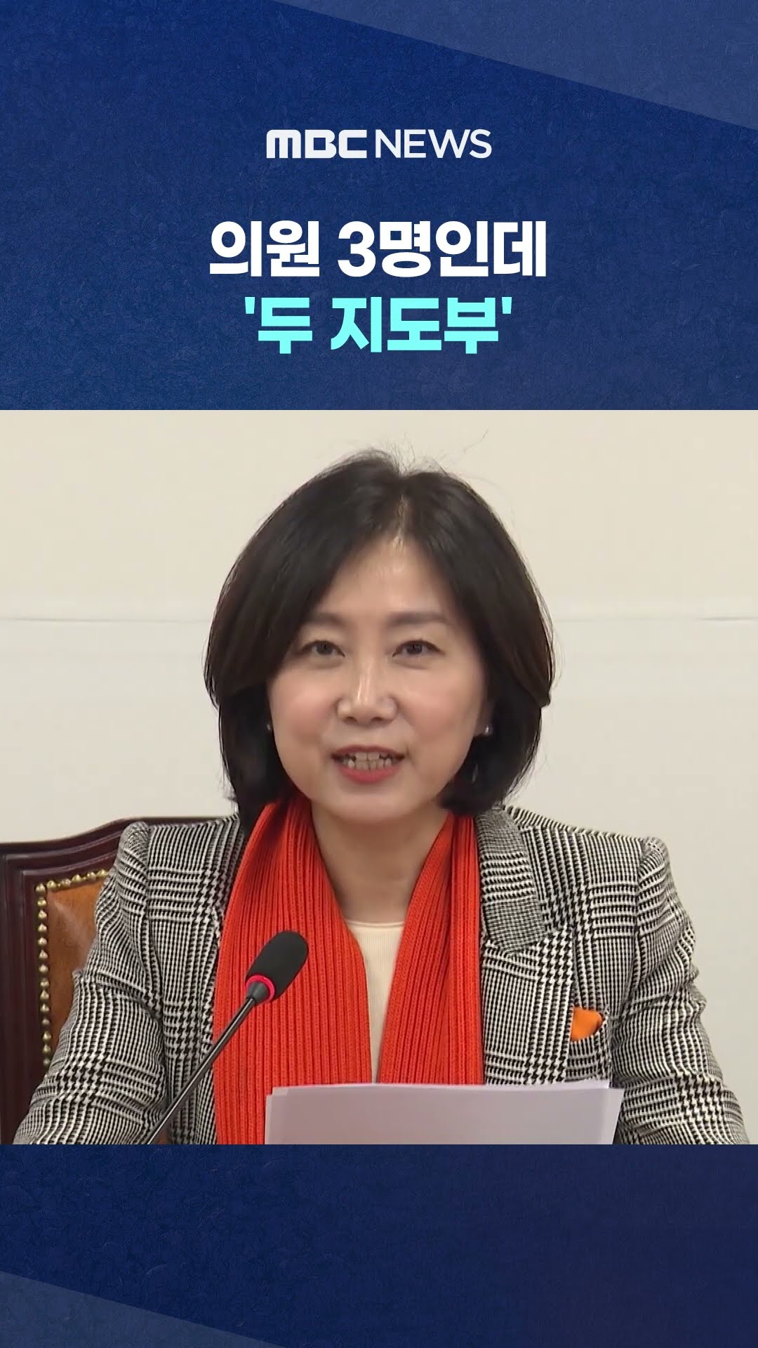 거대 양당에도 없는 '막장' #Shorts (MBC뉴스)