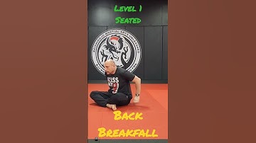 Martial Arts Basics - How To Break Your Fall - Backward Level 1