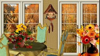 Autumn Scenery