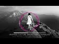 Vintage Culture, Bruno Be & Ownboss   Intro Rework Ashibah Miracle Vox Edit