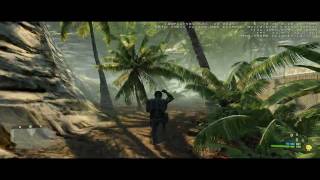 Crysis Ladder Glitch