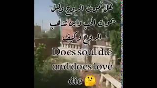 Does spirit Die هل تموت الروح Spiritual connection