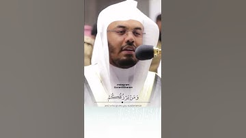 تعالى الله عما يشركون | تلاوة خاشعة الشيخ ياسر الدوسري