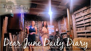 We Went to a Panic Room + Braces Consult + Fake Profile | Dear June Diary