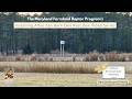 American Barn Owl Nest Box Atop Tall Poles Installation