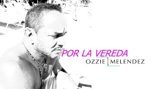 Latin American Pop Music |2018| New York | Ozzie Melendez