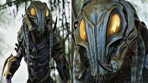 ALPHA PREDATOR SUBSCRIBER REQUEST BUILD BY Awien Spooders on PREDATOR HUNTING GROUNDS