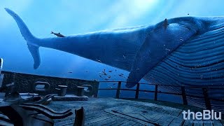 TheBlu VR #2 | Blue Whale Encounter (HTC Vive Gameplay) screenshot 1