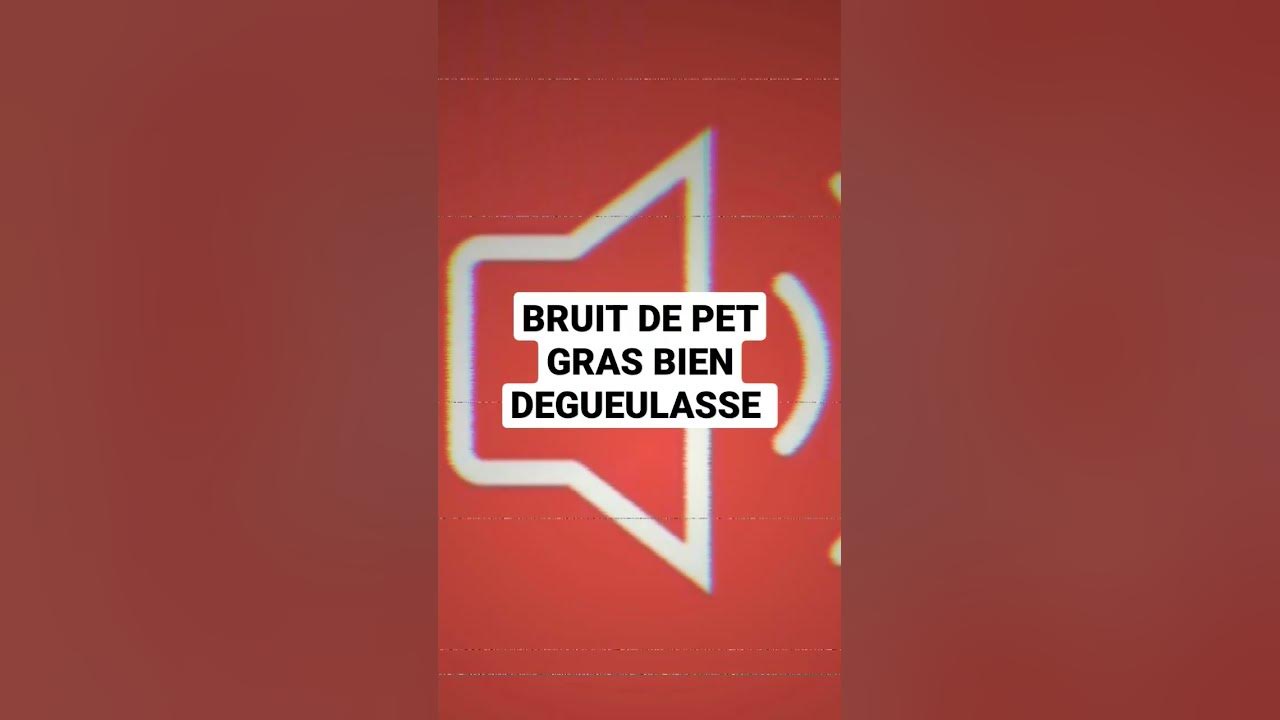 Bruit de promo pet