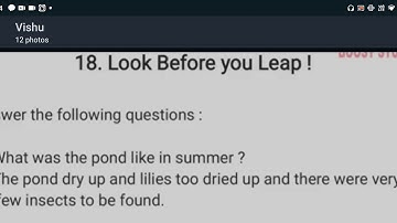 Lesson no.18 Look Before you leap (only question and answer) || Std 3rd English || Aeishu Tawte ||