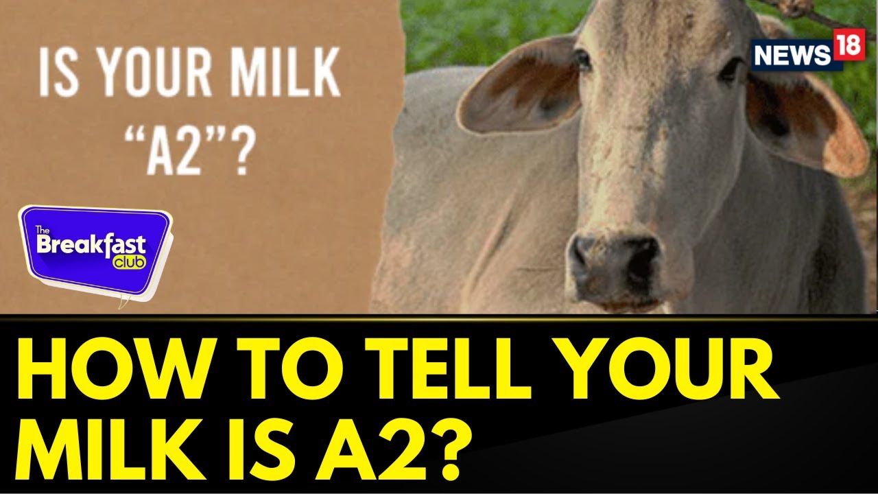 how-to-tell-your-milk-is-a2-are-a2-benefits-worth-the-high-cost-the