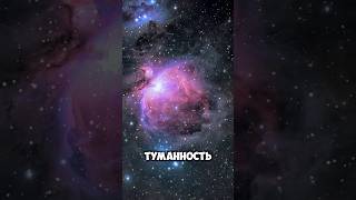 самая красивая туманность в любительском телескопе #четыреглаза #астрономия #телескоп