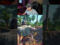 la traicion sale mal #Windrose #kick jectedok #gamer #Twitch | #jectedd de #Twitch
