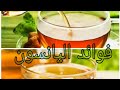 لماذا انصح بتناول اليانسون فوائد اليانسون قناة معلومة طبية 