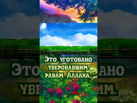 Описание Рая #shorts