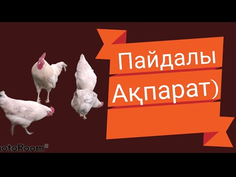 Бейне: Тауық шашлыктарын қалай жасауға болады: аспаздық кеңестер