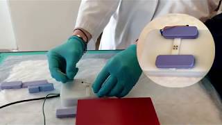 NMECG01 - Neonatal Mouse ECG Setup
