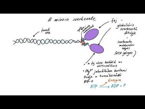 Videó: Hogyan írhatunk Egyenletet Molekuláris és Molekuláris Ionos Formákban