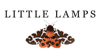 Little Lamps 'Helix Refractor' lamp assembly