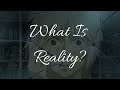How Documentary Films Help Us Think About Reality | Case Study: Ryan (Film)