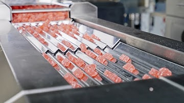 Automatic Gummy counting machine