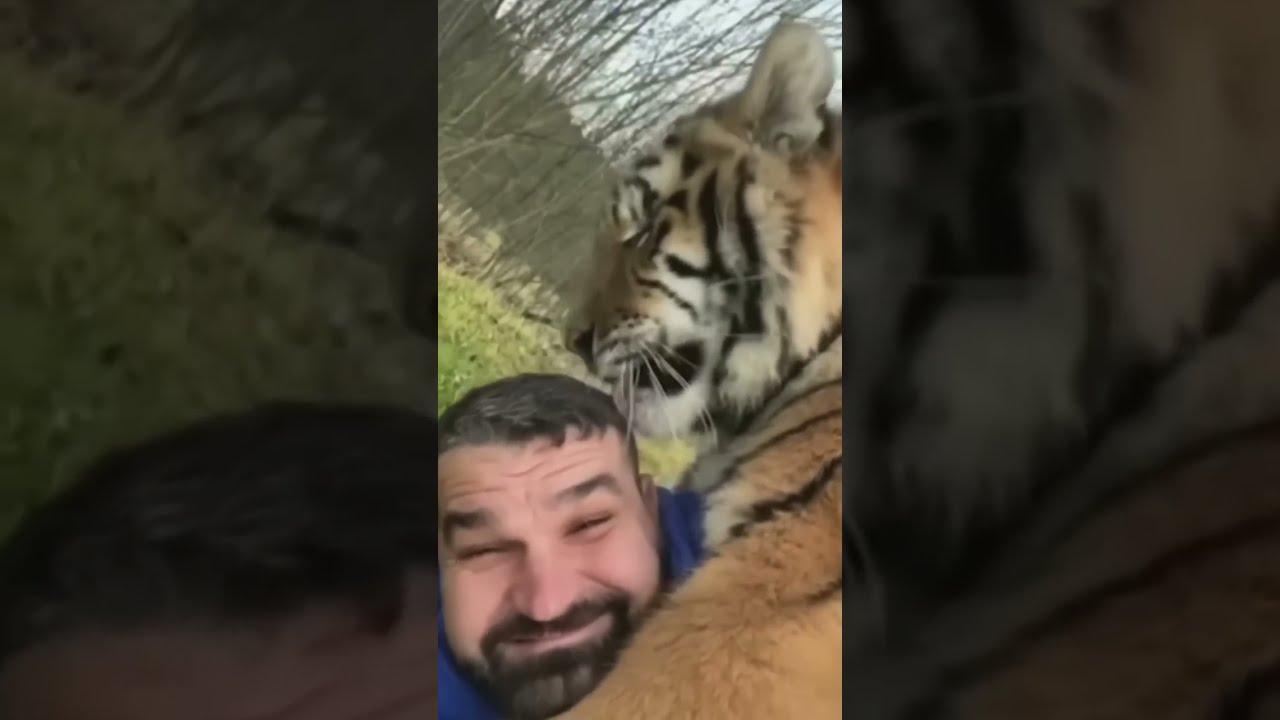 ANIMALS REUNITED WITH THEIR OWNERS AFTER YEARS Shorts