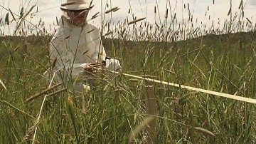 Forensic Science Field Techniques - Establishing the Scene